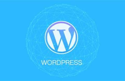 WordPress 实现在指定时间段内评论为待审核状态的教程