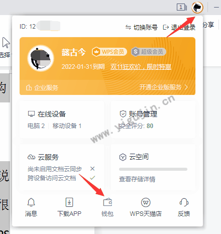 wps会员码兑换入口（wps会员充值地址在哪） - 第1张 - 懿古今(www.yigujin.cn)